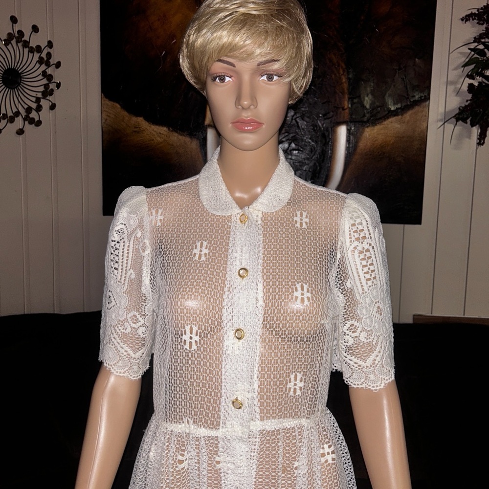 Vintage (1960’s) USA ~ Size 6 ~ Net Floral Lace Edwardian Embroidery Sexy Dress - Picture 8 of 16